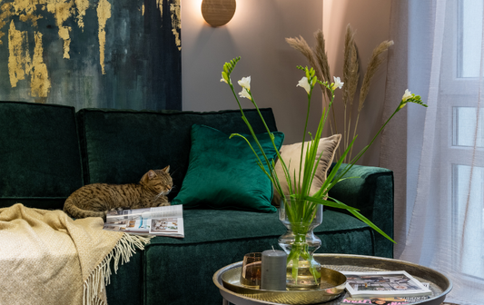 Embrace Nature's Palette: 10 Green Room Ideas for a Refreshing Home