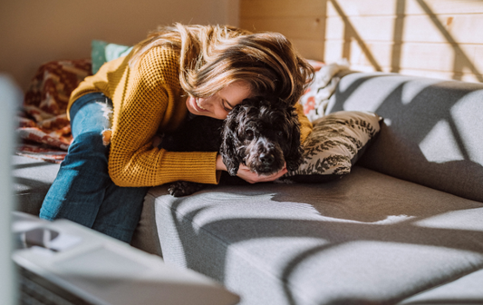 Pet Friendly Sofas: Top Cleaning Tips for Pet Owners