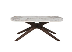 Aryia Coffee Table - 1