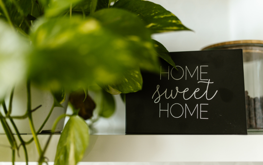 Finished University? Your Guide to Furnishing Your First Home