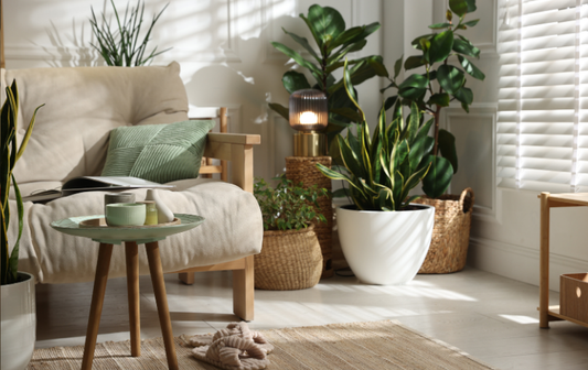 How to Brighten Your Home Without Losing Warmth