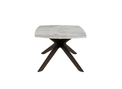 Aryia Coffee Table - side