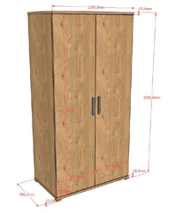 Sam 2 Door Wardrobe Oak (VIP)