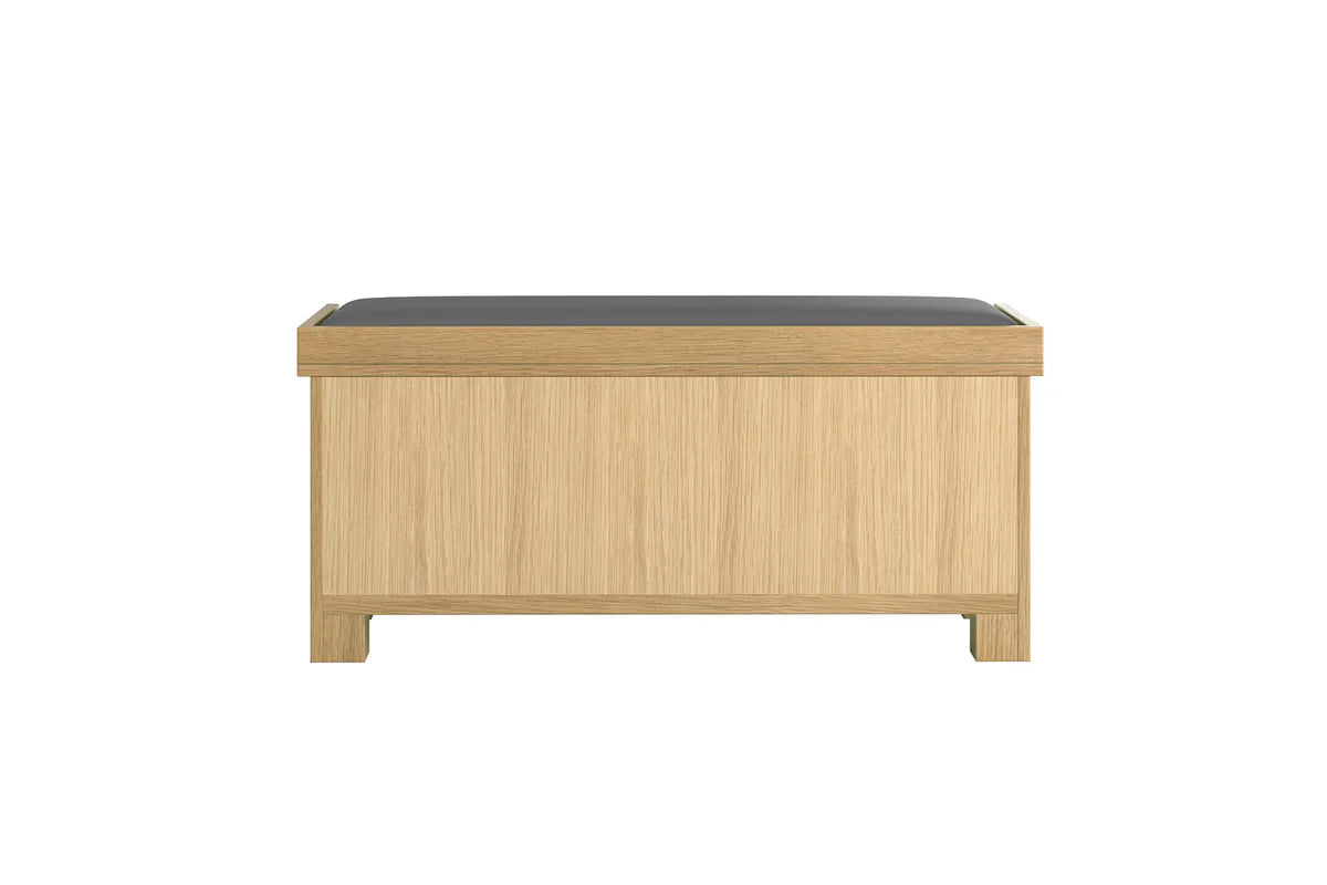 Delaney Storage Bench - rear